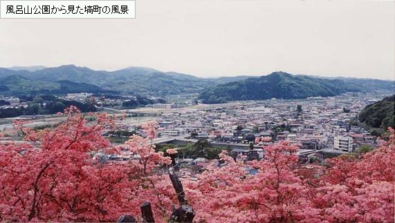 風呂山公園から見た塙町の風景