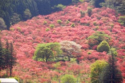 01風呂山公園