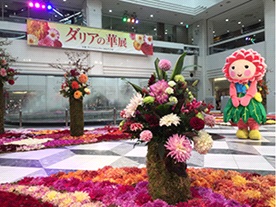 ダリア華展