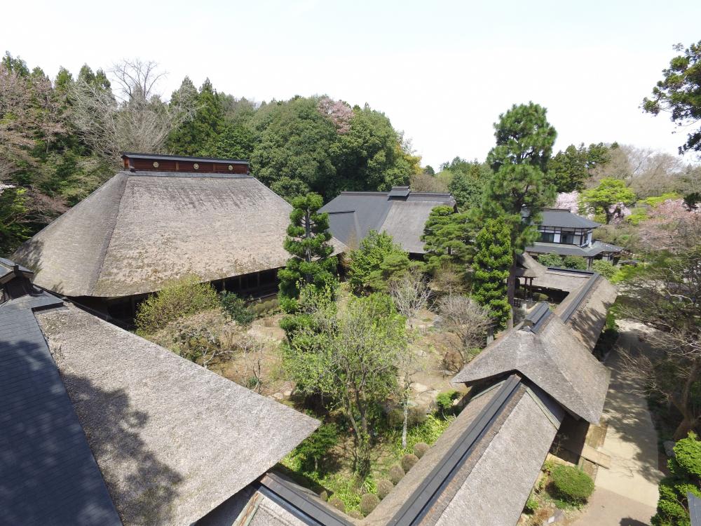 文化財_大雄寺