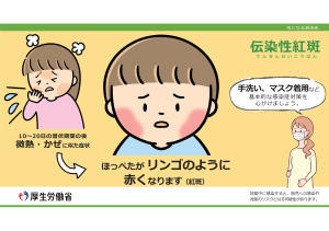 伝染性紅斑が増加しています